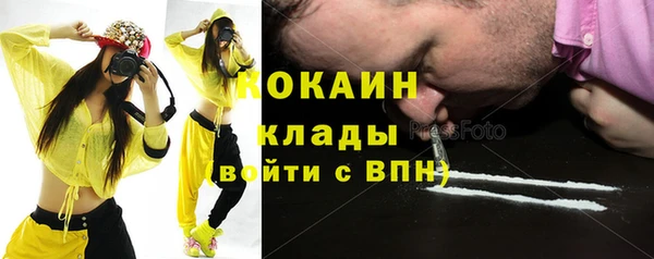 дживик Арсеньев