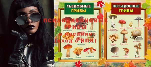 дживик Арсеньев