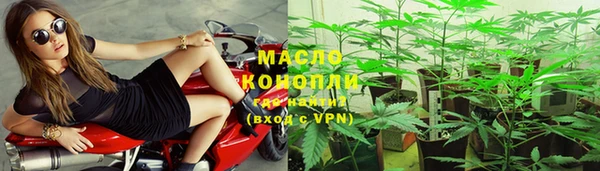 дживик Арсеньев